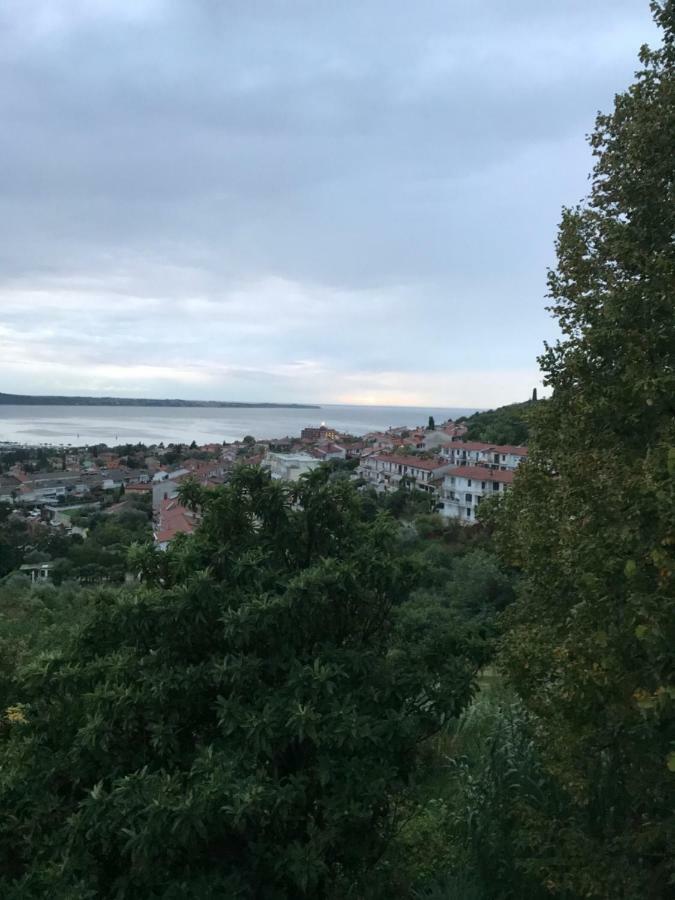 Milena Apartment Portorož Exteriör bild